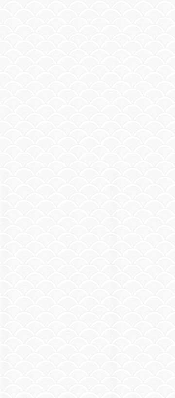 森佐官网