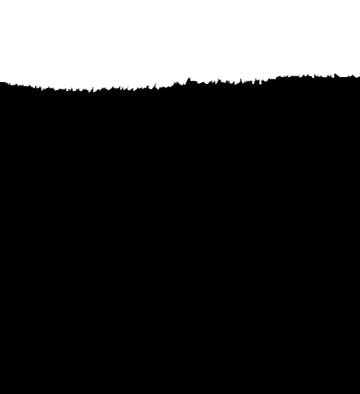 森佐清畅浓缩酵素