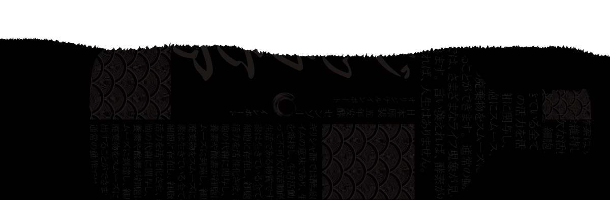 森佐清畅浓缩酵素