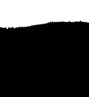 森佐清畅浓缩酵素