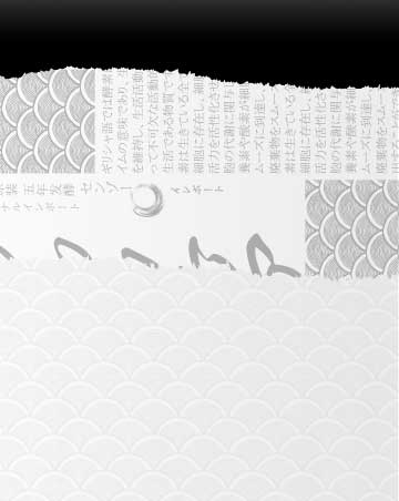 森佐官网