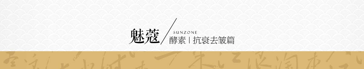 森佐官网新闻详情