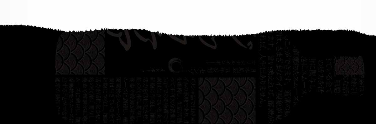 森佐官网新闻详情