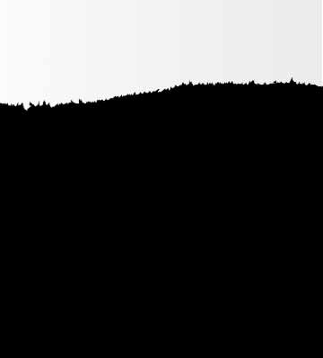 森佐官网新闻详情