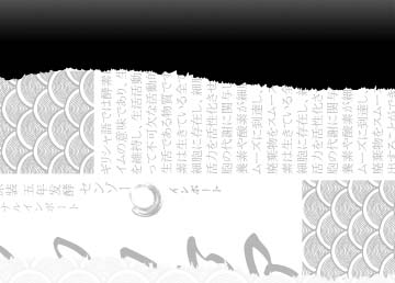 森佐清畅浓缩酵素