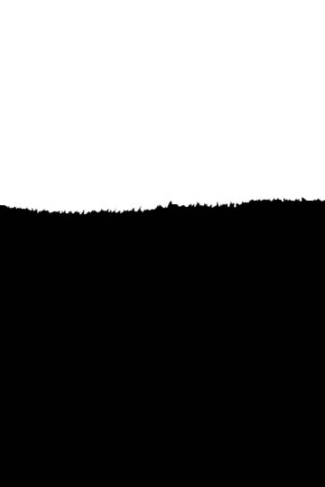 森佐清畅浓缩酵素