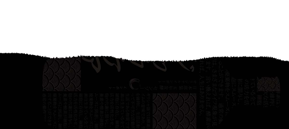 森佐清畅浓缩酵素